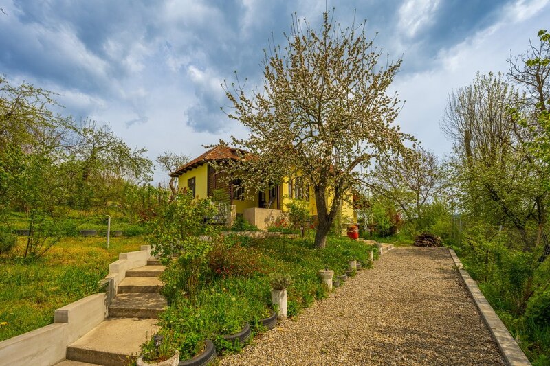 Provita de Sus, Prahova, casa renovata, comision 0 %