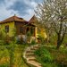 Provita de Sus, Prahova, casa renovata, comision 0 %